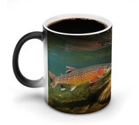 LYHVSFJW Taza de café de cerámica con diseño de trucha, de arroyo, con mosca, taza de café de cerámica que cambia de calor, taza de té personalizada de 325 ml, tazas de sublimación para bebidas frías