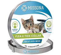 LYL Etiquetas de identificación de Mascotas de Acero Inoxidable Etiquetas de Perro Personalizadas Personalizadas Grabado Frontal/Posterior para Gato y Perro con Diferentes Formas