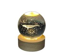 LYLSSSDH Luz nocturna bola de cristal - Decoración colorida y luminosa de cristal cálido (Principito y Zorro), ir a la luna