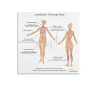 Lymphatic System Educational Poster Anatomy Wall Chart with Lymph Nodes Spleen Thymus for Home Office Classroom Study Decor(Unframed,16x24inch(40x60cm))