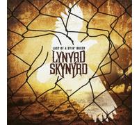 LYNYRD SKYNYRD - LAST OF A DYING BREED