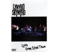 Lynyrd Skynyrd - Lyve From Steel Town [Reino Unido] [DVD]