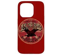 Lynyrd Skynyrd Original Southern Rock Country 1970 Vintage Carcasa para iPhone 15 Pro