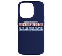Lynyrd Skynyrd Sweet Home Alabama Stars Stripes Rock Bandera de Estados Unidos Carcasa para iPhone 14 Pro