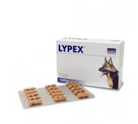 Lypex 60 Cápsulas VetPlus - Suplemento Nutricional para Perros y Gatos