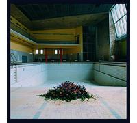 LYR – Call in the Crash Team – CD – Importación USA