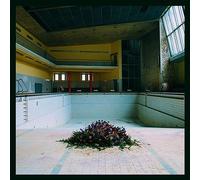 LYR - Call in the Crash Team - Vinilo 12" (Importación USA)