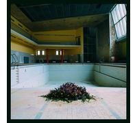 LYR Call in the Crash Team (Vinyl) 12" Album (Importación USA)