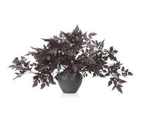Lyrow Paquete de 10 Plantas Artificiales de Cimicifuga en Aerosol de Hojas de Ciruela sintética, Ramas de Hojas de Cimicifuga Ramosa, Plantas de Seda sintética para el hogar, jarrón, Boda, jardín,