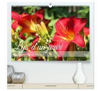 Lys d'un jour (Calendrier mural 2026 DIN A2 vertical) calendrier de bureau: Une fleur d'été à la floraison inlassable