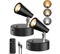 LYTARA - Foco LED para interiores 5500mAh recargables, con batería, regulable y temporizador, 3CCT, luces LED inalámbricas con mando a distancia, iluminación decorativa para obras de arte vegetal