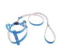 LYVQZPWLRPerros con Herramientas, Collares y Correas de tracción for Perros, arneses y Correas for Cachorros(BLU)