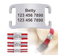 LYVQZPWLRPerros con herramientas, Correa for correr, placa de identificación personalizada for perro, collar deslizable de acero inoxidable, placa de identificación personalizada con nombre, accesorio
