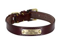 LYVQZPWLRPerros con Herramientas, Correas for Mascotas, Collar de Cuero Personalizado for Perro, Hebilla Dorada de Cuero, Collar de identificación for Mascotas(Dark Brown,Medium)