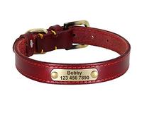 LYVQZPWLRPerros con Herramientas, Correas for Mascotas, Collar de Cuero Personalizado for Perro, Hebilla Dorada de Cuero, Collar de identificación for Mascotas(Rosso,2XL)