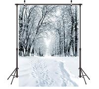 LYWYGG 5x7FT Fondo de Nieve Fondo de Copo de Nieve Fondo de Fotografía Fondo de Invierno Cubierto de Nieve Fondo de Navidad Fondo de Foto de Casa Estudio Fotografía Props CP-285