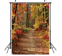 LYWYGG 5x7FT Fondo de Otoño Sendero de Montaña Hojas Caídas Paisaje de Hoja Caduca Contextos de Otoño Árbol y Hojas de Otoño Amarillas Ver Decoraciones de Fiesta Telón de Fondo CP-66