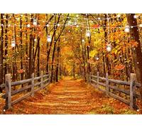 LYWYGG 7x5FT Otoño Bosque Colorido Linternas Pequeñas Calle Fondo Fotografía Estudio Fotografía Decoración Apoyos CP-670