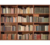 LYWYGG 8x6FT Estantería de Pared con diseño Vintage, Ideal para Libros bibliotecas Antiguas o para Estudio fotográfico o Estudio de fotografía CP-49-0806