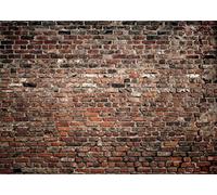 LYWYGG Fondo de pared de ladrillo marrón de 8 x 6 pies, fondos de fotografía de fiesta familiar, material de vinilo, CP-312-0806