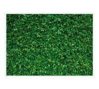 LYWYGG Telón de Fondo de fotografía de Hojas Verdes de 7 x 5 pies, Color Transparente, Plegable, fácil de Llevar, para Fiesta de cumpleaños, Actividades al Aire Libre, Accesorios de Estudio, CP-87