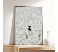 LZJAGXX Póster artístico de una oveja negra entre ovejas blancas, lienzo, impresión de pared, decoración estética para dormitorio y oficina, 70 x 100 cm, sin marco