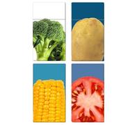 LZJDHKJ 4 Piezas Larga Pitilleras Antiextrusión para Regalo Diario Cigarrillos 100mmA,One Size