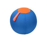 LZYWOD Pelota de pastoreo para perros al aire libre, bola inflable grande resistente a la bola V1t8 bomba con juguete de pastoreo