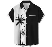 Lzzidou - Camisa hawaiana para hombre de manga corta con botones, camisas de playa, Small