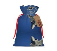 M - Bolsas de Navidad reutilizables con estampado de avión volador, para fiestas de Navidad, vacaciones, con cordón, bolsas de regalo para cumpleaños, bodas
