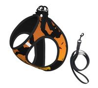 M - Chaleco y arnés para perro - Juego de correa con estampado de cabeza de calabaza, búho de árbol negro, tamaño pequeño, reflectante, ajustable para gatos y perros