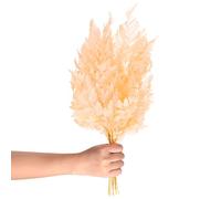 M METERXITY Paquete de 10 Helechos, 15" Follaje Natural Seco con Tallos para Guirnalda de Boda/Ramo de Casa/Fiestas DIY, Plantas Secas [Beige]