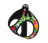 M Pet Leash Chaleco y arnés para perro, juego de correa con estampado de cóctel tropical de tamaño pequeño con hebilla, compañero canino para viajes al aire libre