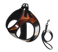 M Pet Leash Chaleco y arnés para perro, juego de correa con estampado de libro de violín de tamaño pequeño con hebilla, compañero canino para viajes al aire libre