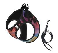 M Pet Leash Chaleco y arnés para perro, juego de correa con estampado de palmera de coco y playa de arena de tamaño pequeño, reflectante, ajustable para gatos y perros