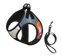 M Pet Leash Chaleco y arnés para perro, juego de correa con estampado de violín y libro de tamaño pequeño con hebilla, compañero canino para viajes al aire libre