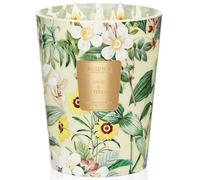 M&SENSE Salvia y Cítricos Velas Aromáticas Soja 990g, Regalos para Amigas y Profesores, Tarro de Cristal con Estampado Botánico, Velas Gigante 3 Mechas 150h, Decoracion Casa Moderna y Fresca