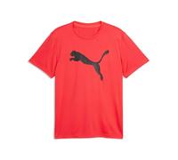 M TAD Essentials - Camiseta de Gato sólido (CF Big Cat)