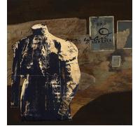 M. Ward End of Amnesia (Vinyl) 20th Anniversary 12" Album (Importación USA)