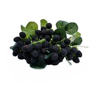 M2cbridge 4 piezas artificiales de frambuesa roja, fresa, fruta sintética, mora, accesorios para decoración de mesa (negro)