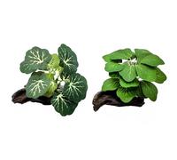 M2cbridge Plantas artificiales de seda para peceras, plantas de plástico para acuario, decoración de primer plano (2 unidades, verde pequeño)