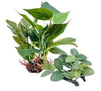 M2cbridge Plantas artificiales para peceras, plantas acuáticas para acuario, decoración de primer plano (2 unidades altas y cortas))