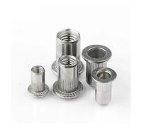 M3 M4 M5 M6 M8 M10 304 Tuerca Rivnut de acero inoxidable Tuerca roscada de cabeza plana Remaches de Raya vertical Insertar Nutsert Remache Tuercas(M3 x 50picecs)