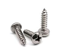 M5.5 M6.3 12/20/25-50mm Mini 304 Stainless Steel Cross Pan Round Head Screw 10Pcs(40mm,M5.5 10pcs)