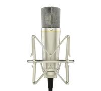 MA-67 Micrófono condensador de estudio, cápsula de diafragma grande dorada de 34 mm, incluye filtro Hydro Pop, soporte de choque de metal, cable XLR y bolsa de micrófono - para producción de música,