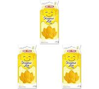 Ma-Fra, Chimpanzen Vanilla Sky Felicidad y Poder, Perfume de Goma para Coche, Inspirado en la Filosofía Zen, Fragancias Dulces y Frescas de Vainilla con Notas Frutales de Melocotón y Piña, 1 unidad