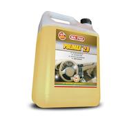 MA-FRA - Pulimax Limpiador concentrado para interior del coche, 4,5 litros