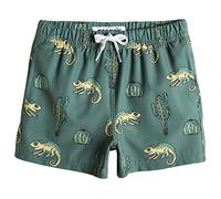 MaaMgic Bañador Niño Pantalones Cortos Playa Ropa de Baño Secado Rápido Interior de Malla Shorts de Natación Bañadores Niño 4-Vía con Elasticidad,Camaleón,10-12 años