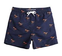 MaaMgic Bañador Niño Ropa de Baño para Niño Secado rápido Interior de Malla Short de Natación Estampado,Dinosaurio Marina,5-6 años