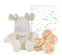 Mababy Set Regalo Bebé Personalizado - Manta Coralina 80×100 Bordada, Peluche Animalito Piqué Algodón, 12 Placas Hitos Doble Cara para Fotos y Recuerdos, Pack Recién Nacido Baby Shower